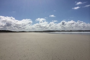 Uma extensa praia de areia dourada, céu claro e árvores ao longe.