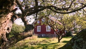 Una casa rossa con una finestra bianca, immersa tra alberi ed erba.