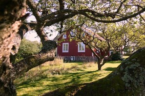 A red house with a white window, surrounded by trees and grass. - Holiday home in Torsas with swimming pool (Torsas)