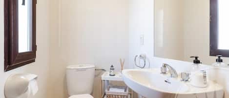 A bathroom with a toilet, a sink, a mirror, and a window.