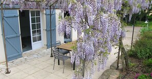 Eine Terrasse mit Tisch und Stühlen, eine Glyzinienranke und ein Gebäude mit blauen Fensterläden.
