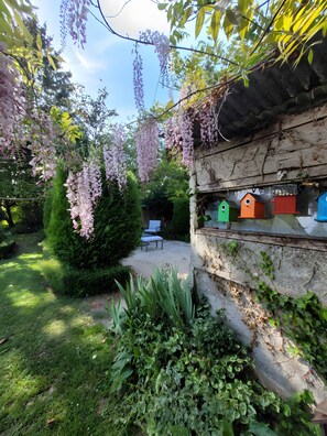 Ein Garten mit hängender Glyzinie, eine Steinmauer mit Vogelhäusern und ein Weg zu einer Sitzgelegenheit.