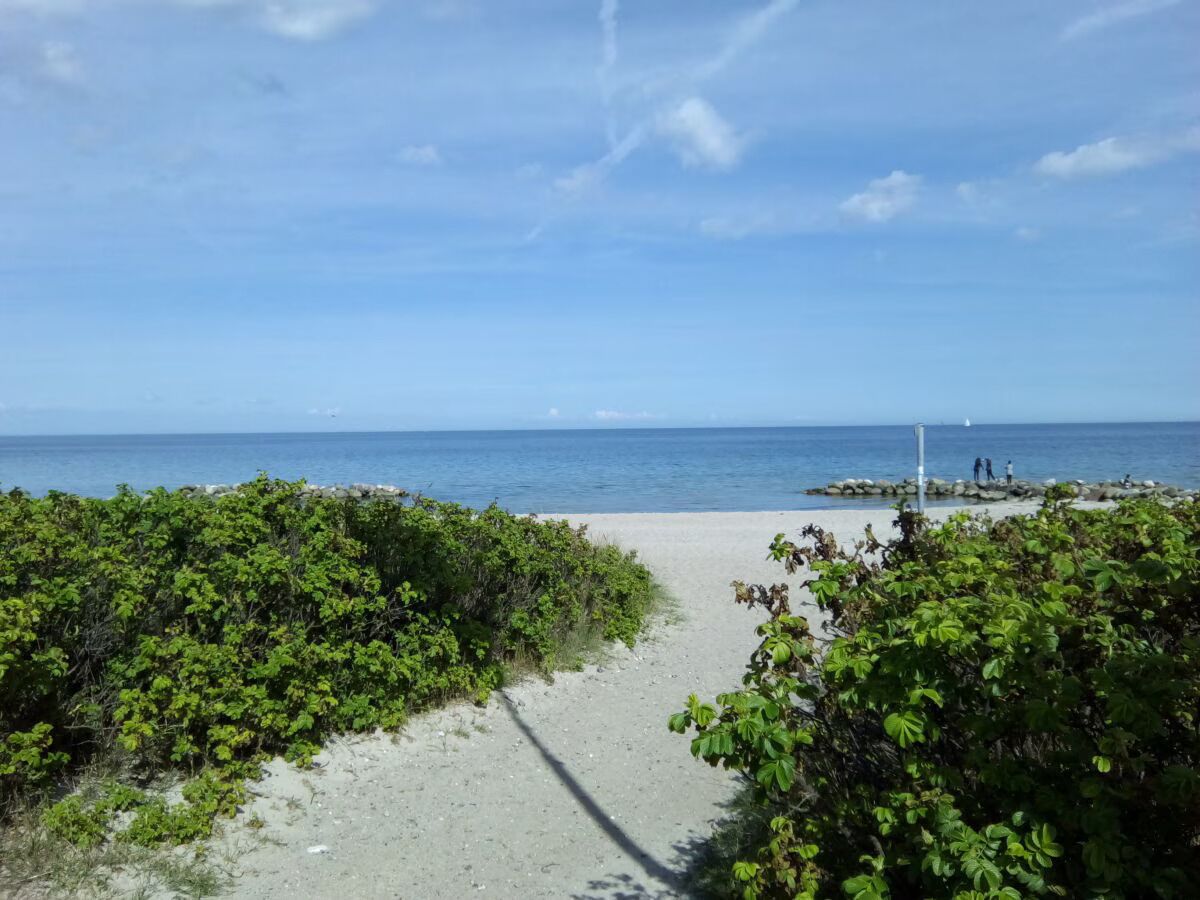 A beach path leading to the ocean with dense vegetation on either side.