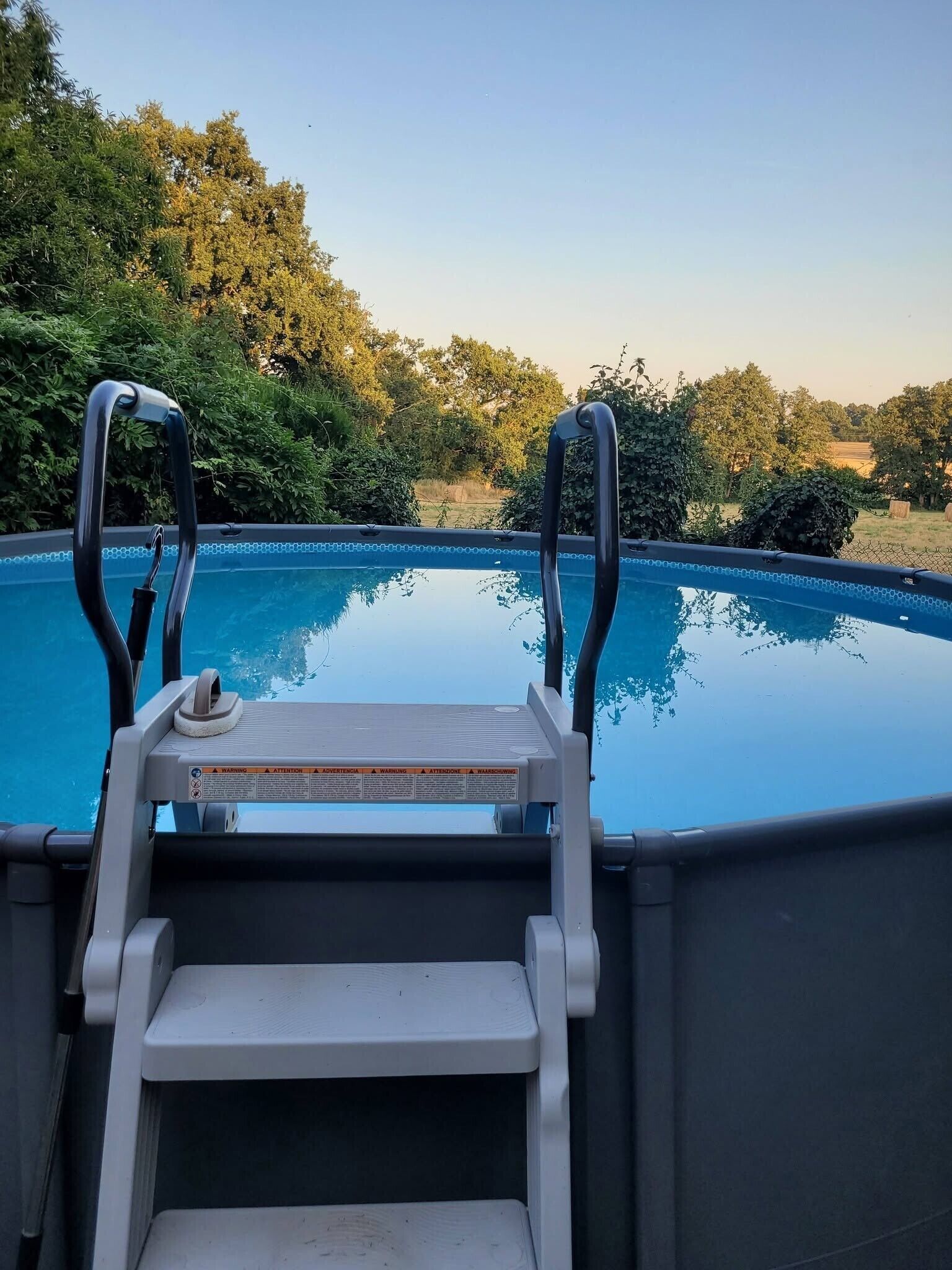 A swimming pool with a ladder leading into it, surrounded by greenery.
