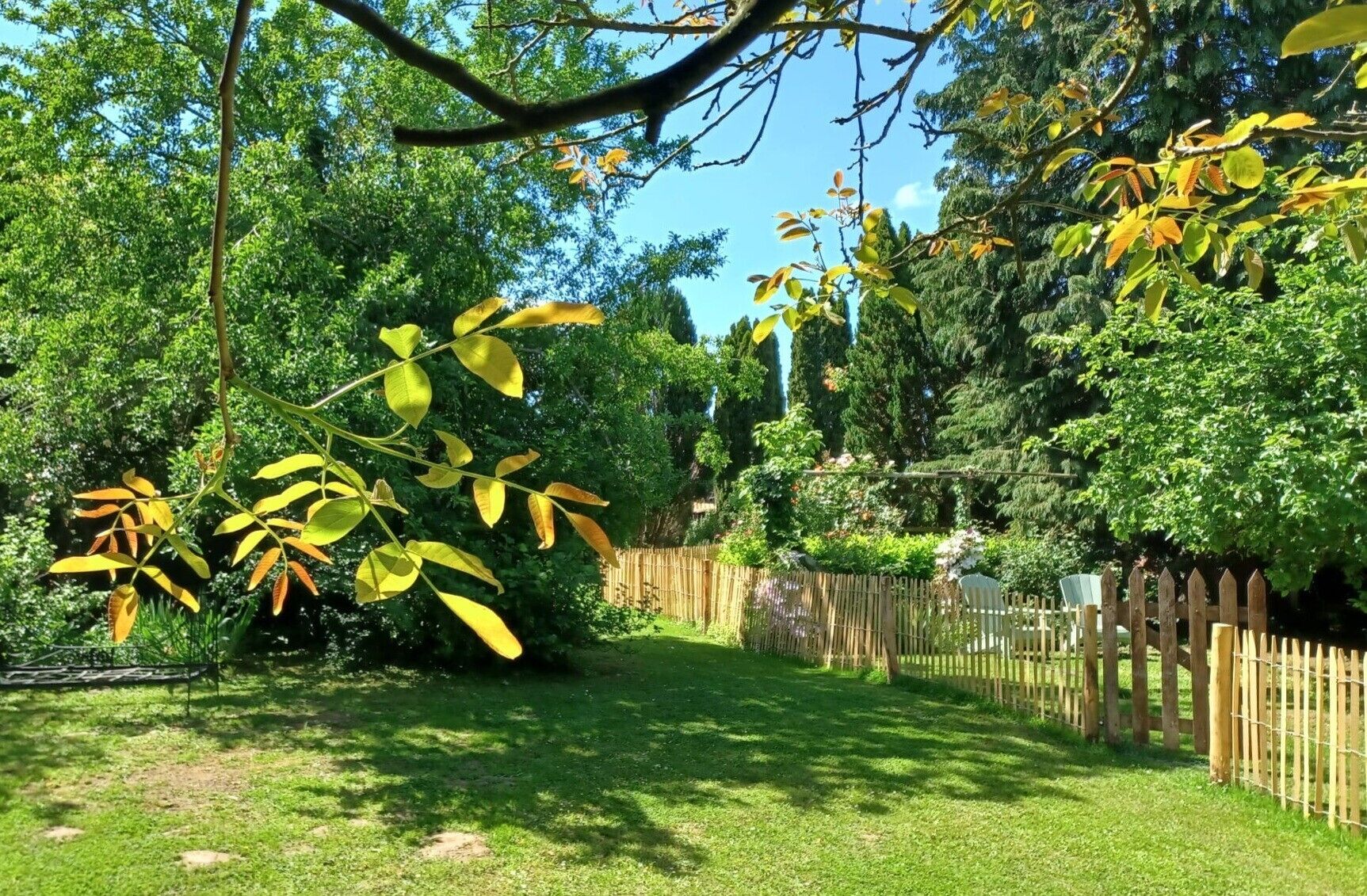 Ein Garten mit Holzzaun, Bäumen und einer Rasenfläche.