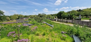 Udendørsområde