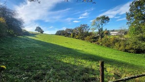 A grassy hillside with a fence, trees, and a building in the distance.