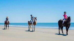 Una platja amb cavalls.