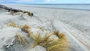 En sandstrand med sanddyner och gles vegetation.