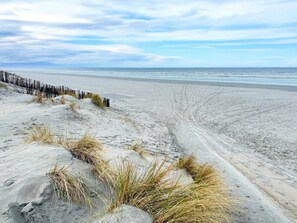 Une plage de sable avec des dunes et une végétation clairsemée.