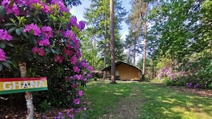 A campsite with a tent, surrounded by lush greenery and purple flowers. - Outdoors Holten - Romantic Safaritent bad by Interhome (Holten)