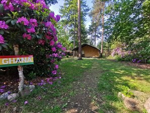 Een camping met een tent, omringd door weelderige begroeiing en paarse bloemen.