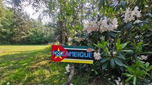 A sign with the text 'MOZAMBIQUE' and a star emblem, surrounded by greenery and rocks. - Outdoors Holten - Romantic Safaritent bad by Interhome (Holten)