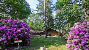 A cabin surrounded by lush greenery and purple flowers. - Outdoors Holten - Romantic Safaritent bad by Interhome (Holten)