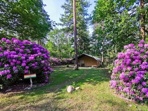 Een chalet omgeven door weelderig groen en paarse bloemen.