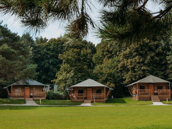 Tres cabañas de madera con porches adosados, ubicadas en un área cubierta de césped con árboles densos al fondo.