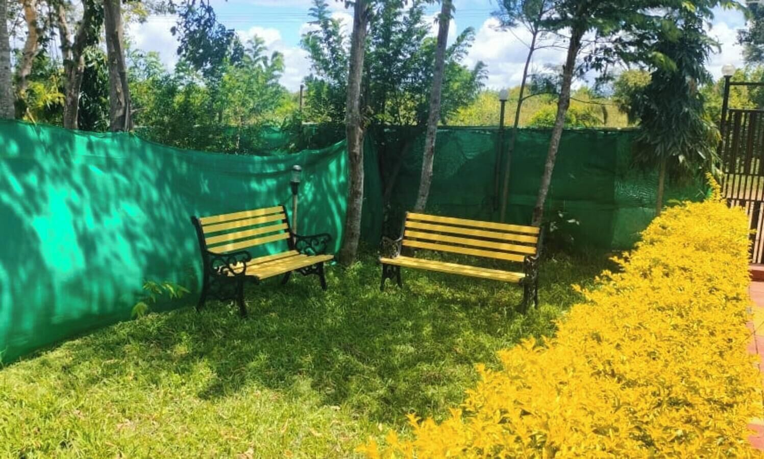 Two wooden benches in a grassy area with a green fence and yellow flowers.