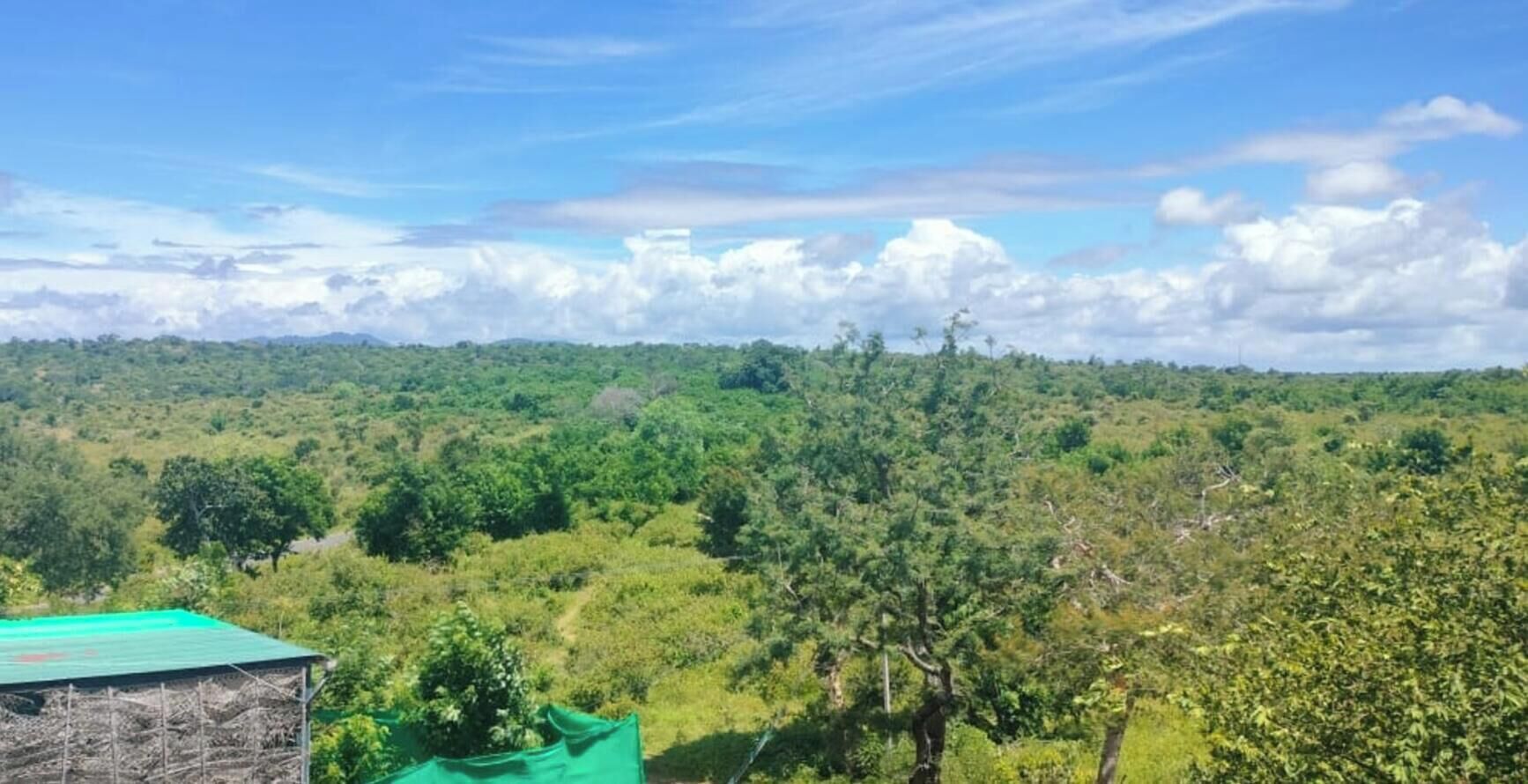 Vista de un paisaje verde exuberante con un edificio en primer plano.