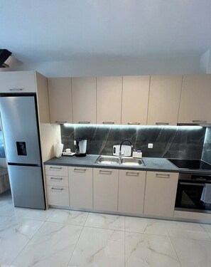 Een moderne keuken met een inbouwkoelkast, een spoelbak en een kookplaat.