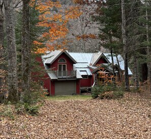 A red cabin with a metal roof surrounded by trees and fallen leaves.