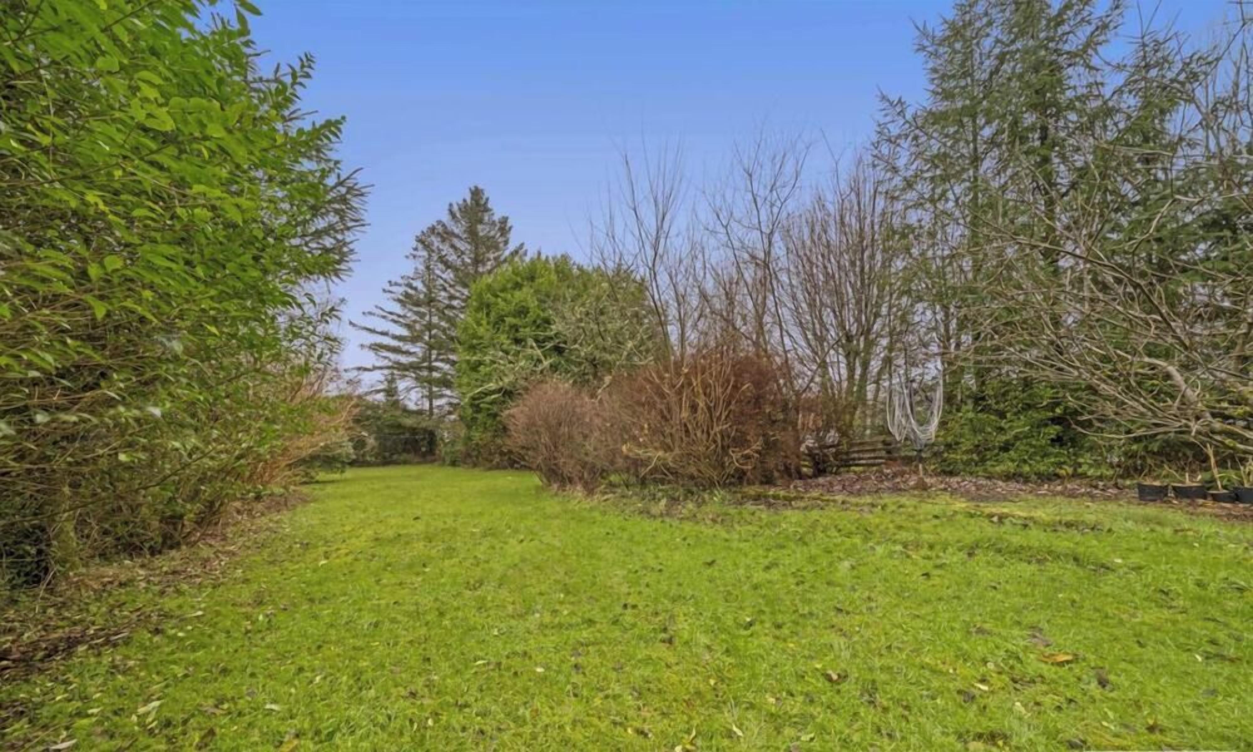 Un espace extérieur verdoyant, avec des arbres et des arbustes.