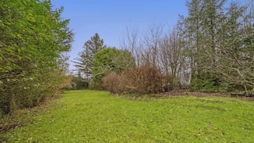 Un espace extérieur verdoyant, avec des arbres et des arbustes.