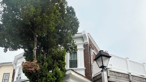 Ein zweistöckiges Gebäude mit weißer Fassade, ein großer Baum davor und eine Holzterrasse.