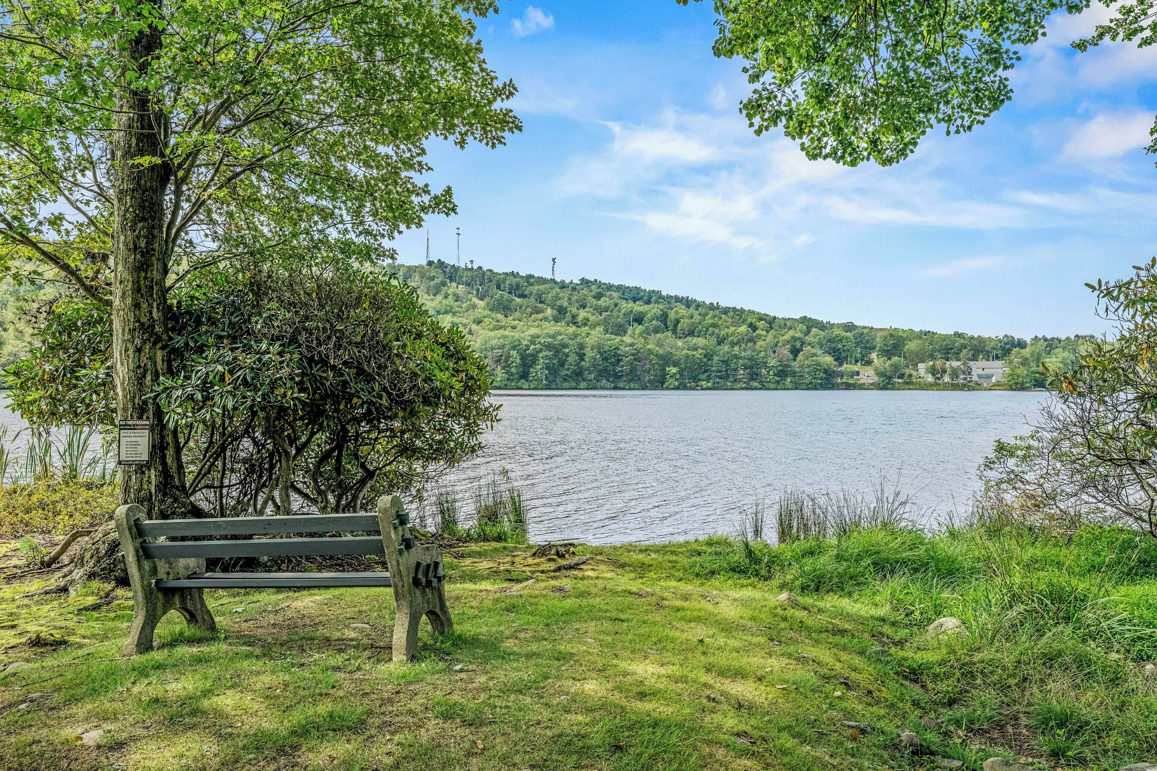 Un banc donnant sur un lac, avec une colline boisée en arrière-plan.