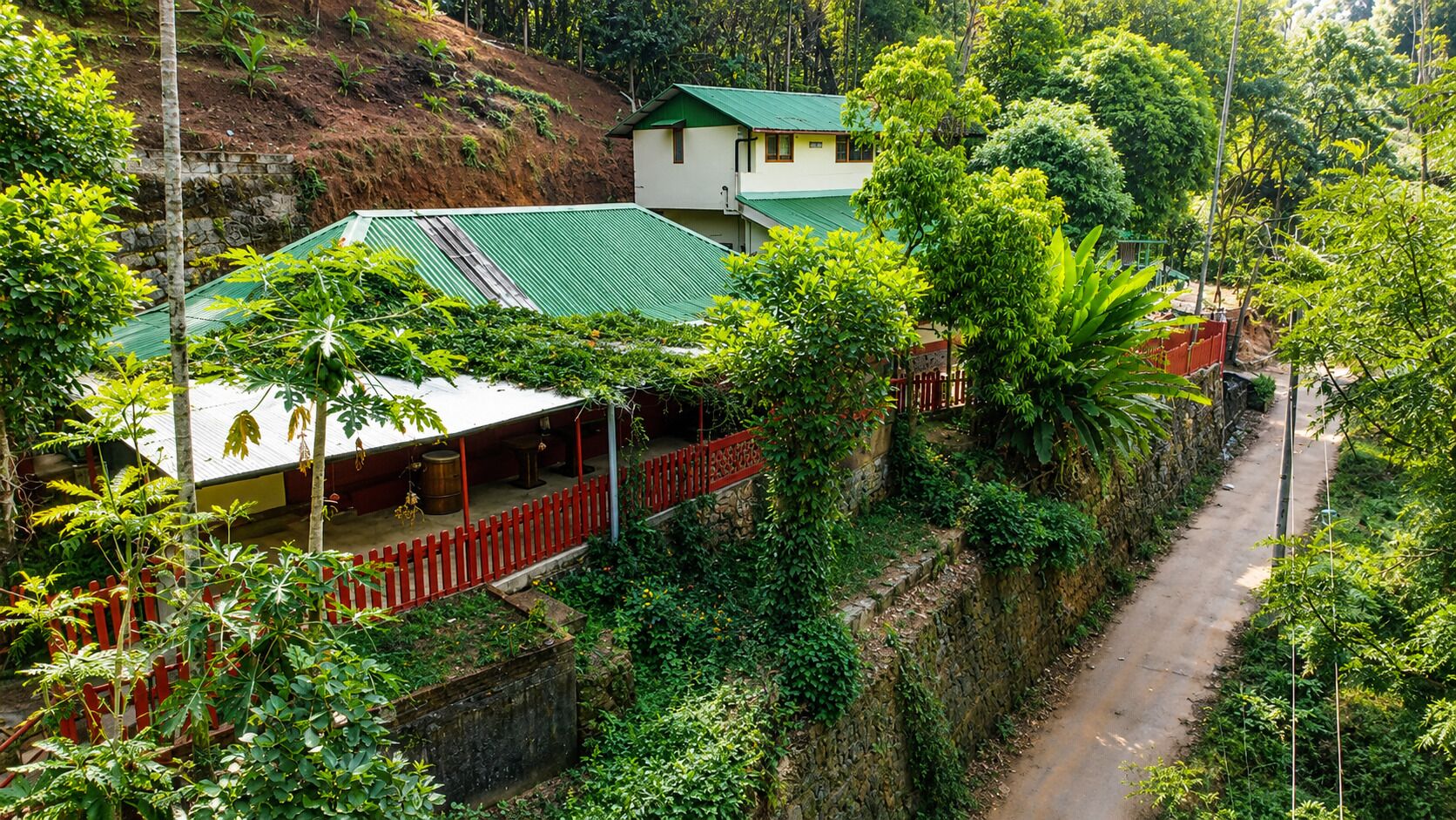 A residential area with a house featuring a green roof, surrounded by lush greenery and a red fence.