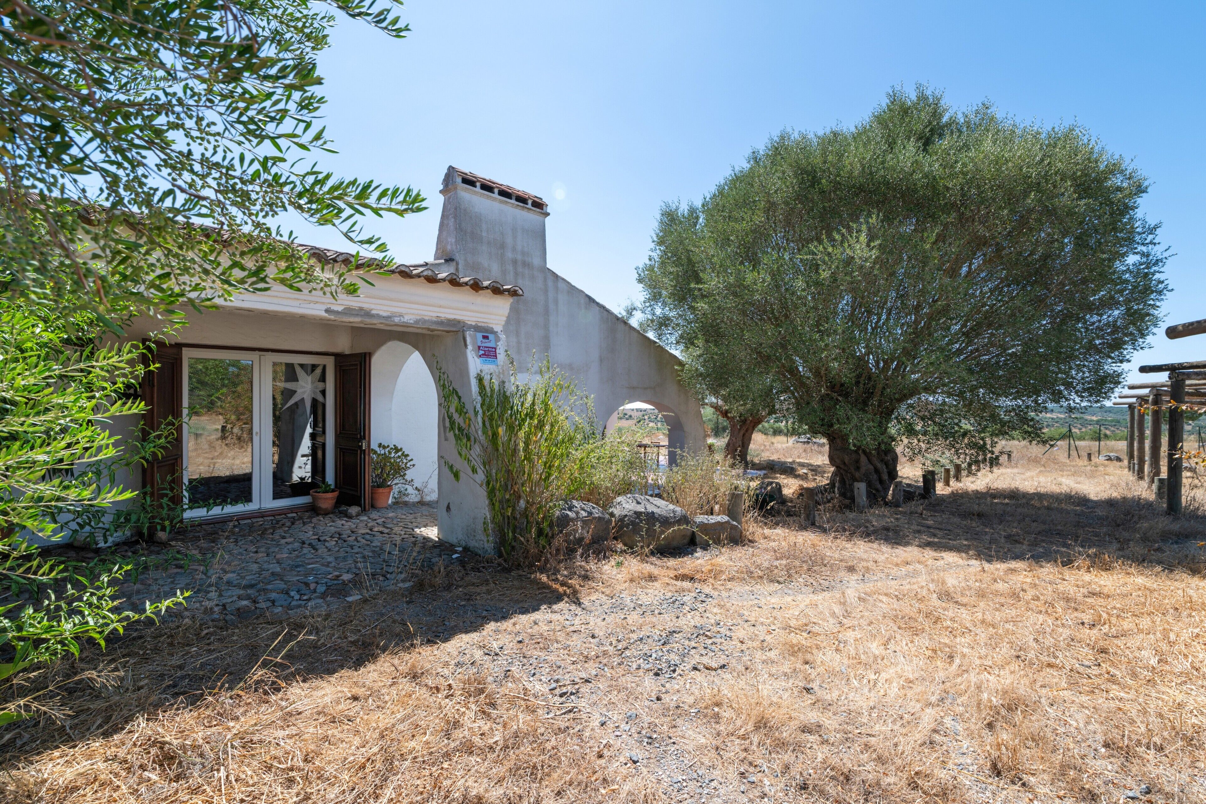 Una casa rústica con fachada de piedra, techo de tejas y un olivo grande en el patio.