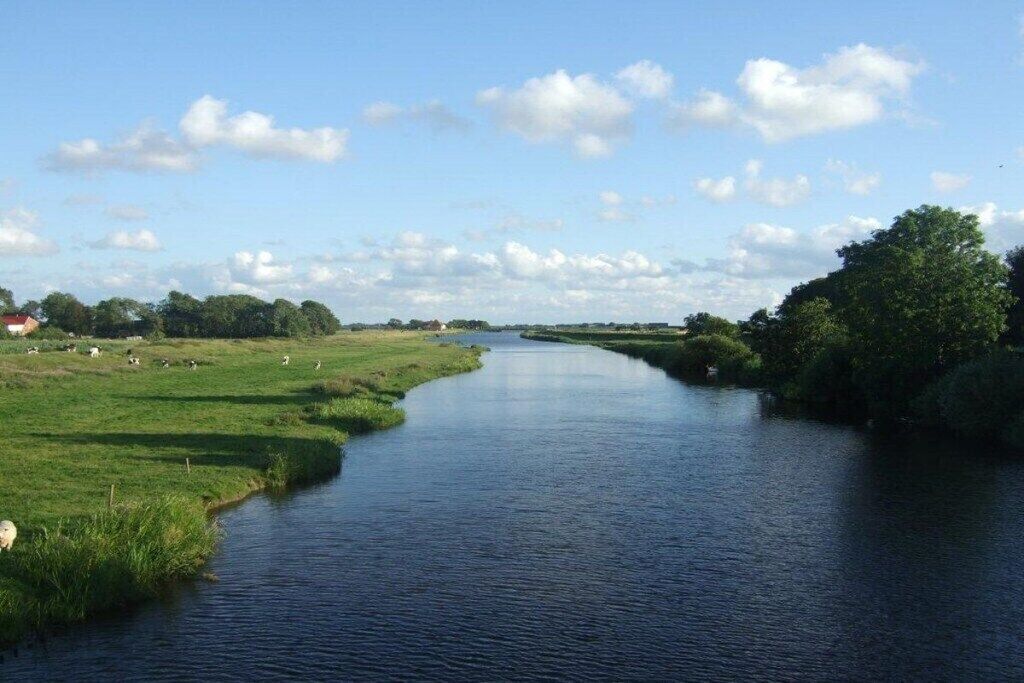 Un río con una orilla estrecha, rodeado de vegetación y un cielo despejado.