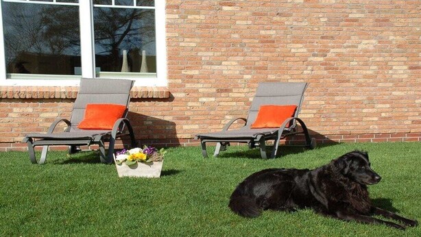 Two lounge chairs with orange cushions, a black dog lying on the grass, and a brick wall in the background. - Holiday home with 2 bedrooms (Dagebüll OT Süderwaygaard)