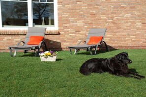 Two lounge chairs with orange cushions, a black dog lying on the grass, and a brick wall in the background. - Holiday home with 2 bedrooms (Dagebüll OT Süderwaygaard)
