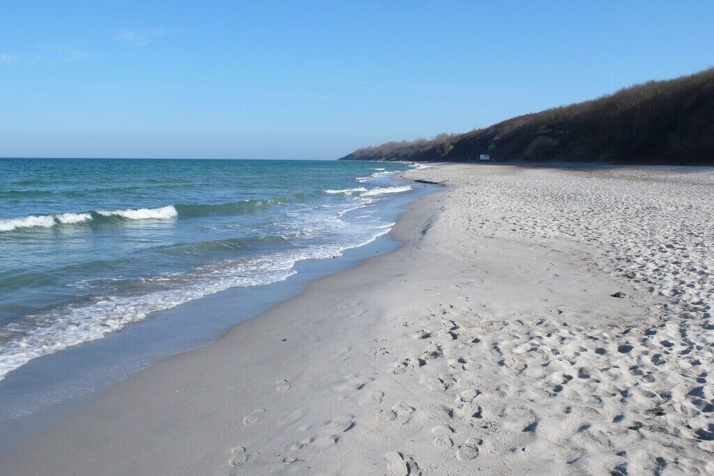 Une plage avec un rivage sablonneux et des vagues.