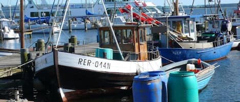 A marina with boats docked, including a boat with the identifier 'RE-014N'.