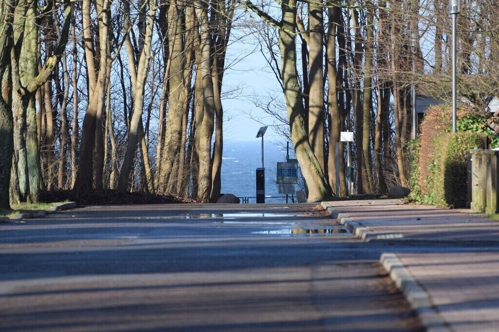 Une rue bordée d’arbres, d’où l’on aperçoit la mer au loin.