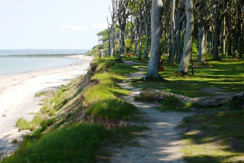 A coastal path with trees, a beach, and a clear sky.