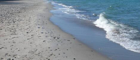 A beach with a pier extending into the water, sandy shore, and a clear sky.