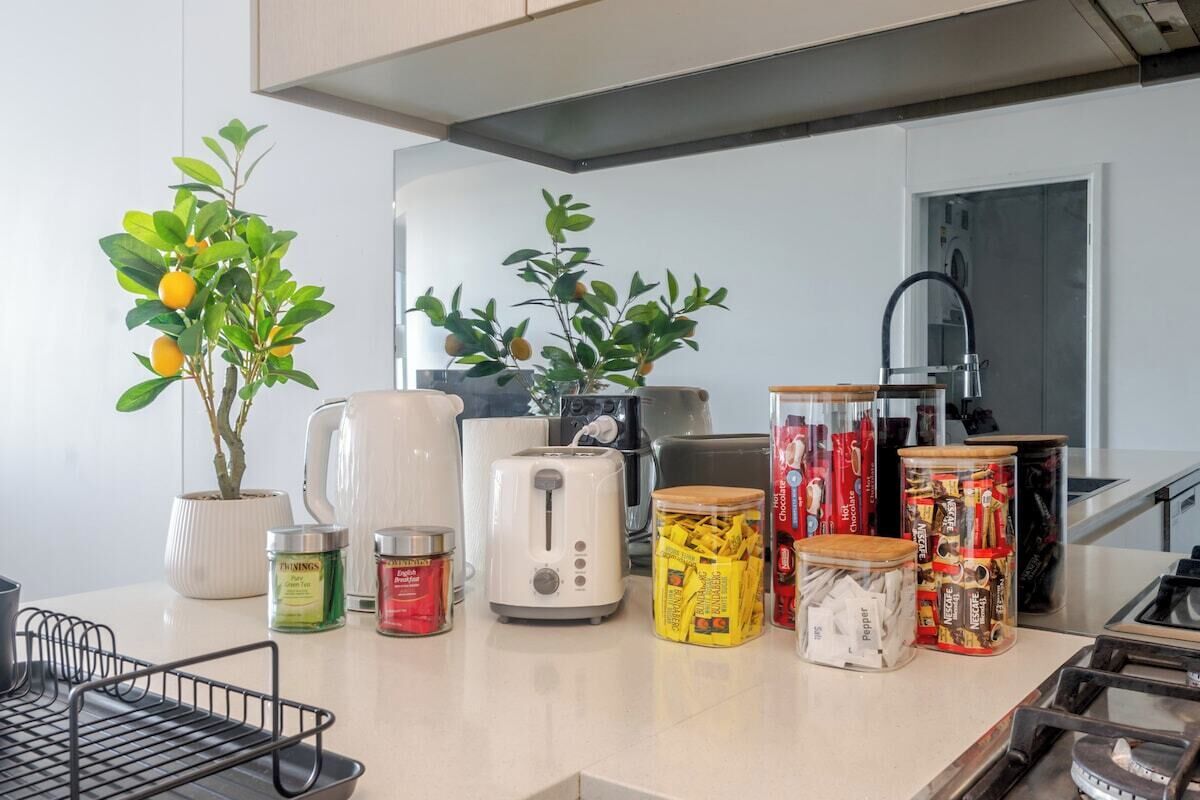 A kitchen counter with various food items, a toaster, and a potted plant.