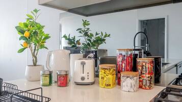 A kitchen counter with various food items, a toaster, and a potted plant.