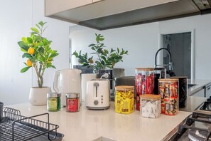Eine Küchenarbeitsplatte mit verschiedenen Lebensmitteln, einem Toaster und einer Topfpflanze.