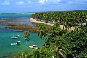 A coastal view with a beach, palm trees, and boats. - Casa Giada - Oceanfront Villa in Praia do Forte - Private Pool and 4 Suites (Acu da Torre (Praia do Forte))
