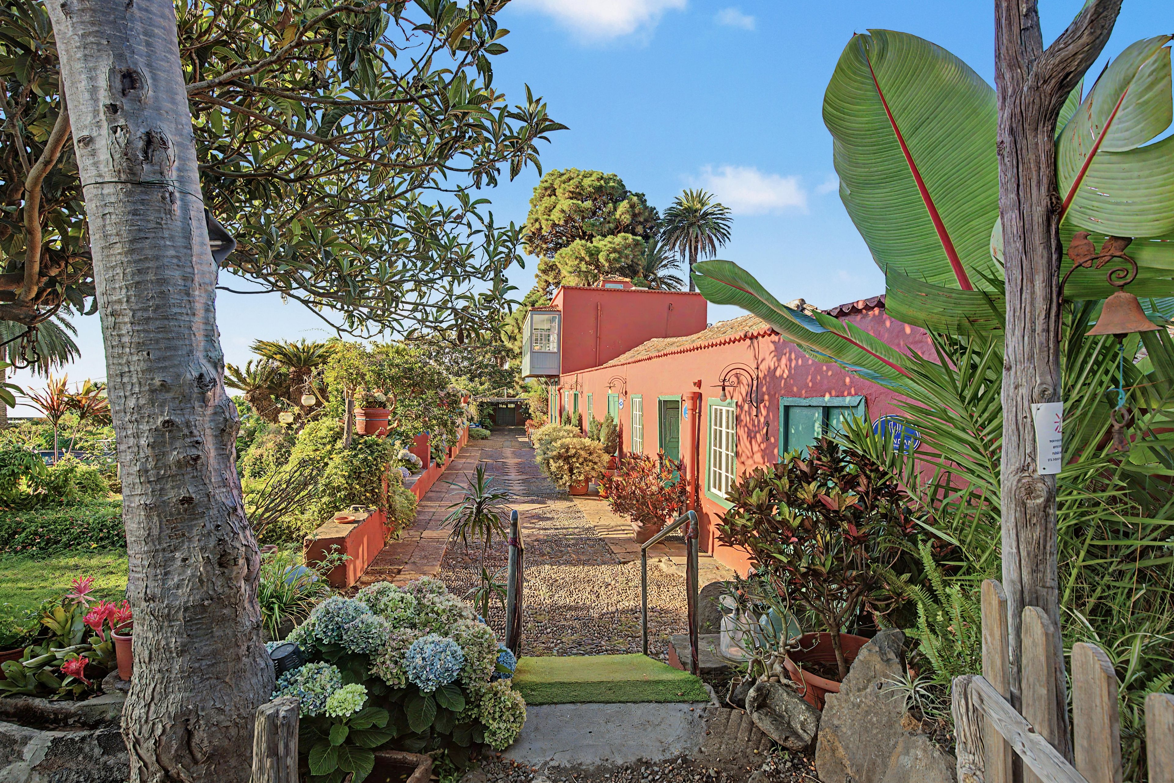 Caminho que leva a um edifício com fachada vermelha, cercado por vegetação exuberante e plantas tropicais.
