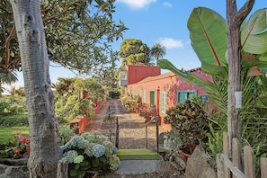 Un chemin menant à un bâtiment à la façade rouge, entouré d’une végétation luxuriante et de plantes tropicales.