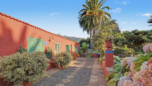 A pathway leading to a building with a red facade, surrounded by various potted plants and a palm tree. - Room 'Suite Jardines' with Mountain View, Shared Pool and Wi-Fi (Breña Alta)