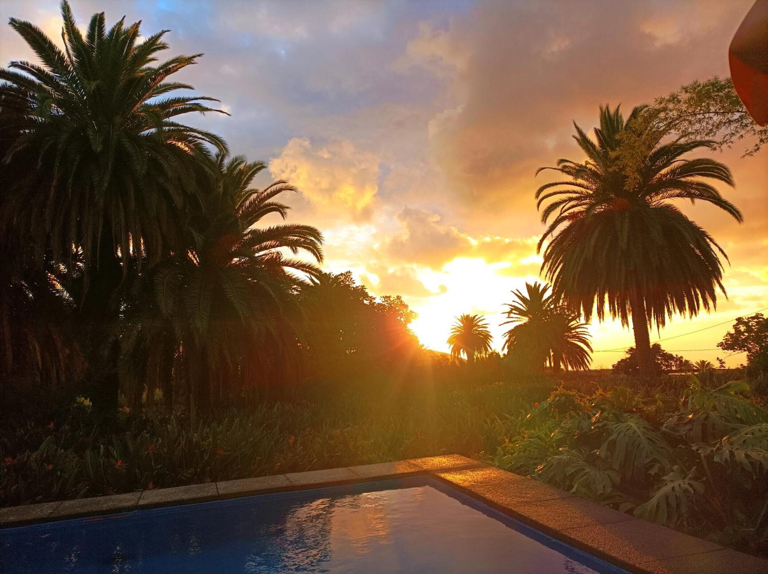 A pool with a sunset view, surrounded by palm trees.