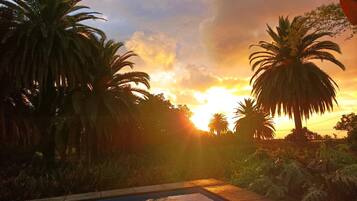 A pool with a sunset view, surrounded by palm trees.