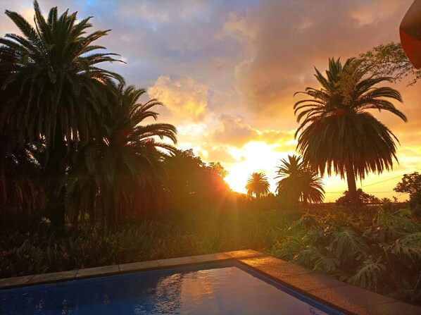 A pool with a sunset view, surrounded by palm trees.