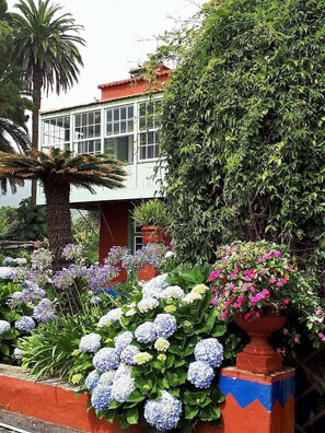 A building with large windows, surrounded by lush greenery and flowering plants.