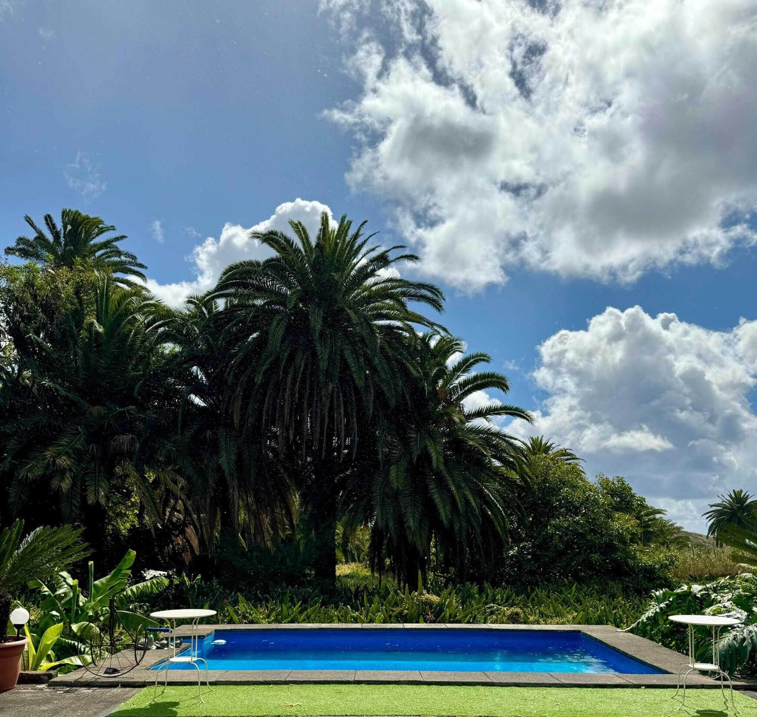 A swimming pool surrounded by lush greenery and palm trees under a partly cloudy sky.